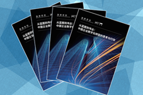 《从蓝图到伟业：中国企业数字化转型的思考与行动》