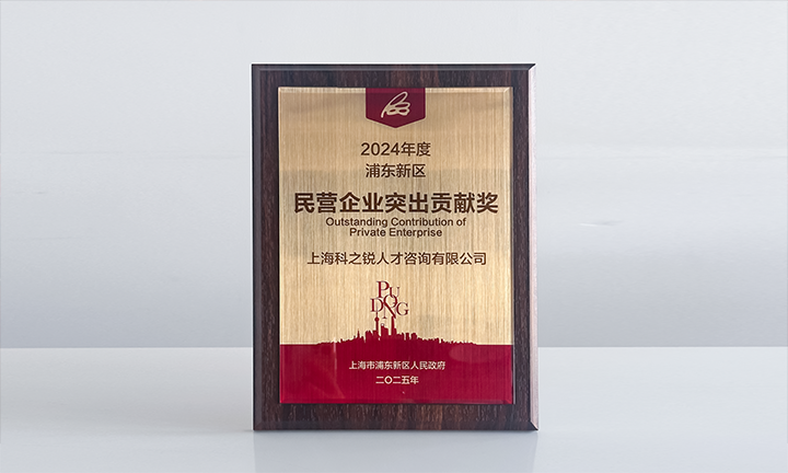 人力资源供应商k8凯发国际凭借人才服务与在区域经济开展中的卓越表现荣膺2024年度浦东新区民营企业奖项